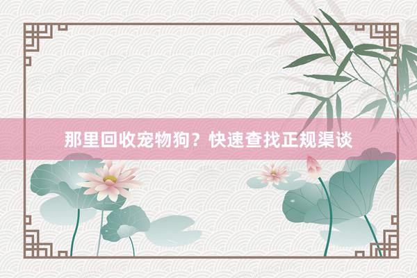 那里回收宠物狗？快速查找正规渠谈