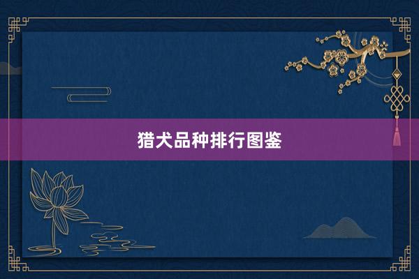 猎犬品种排行图鉴