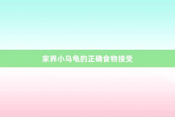 家养小乌龟的正确食物接受